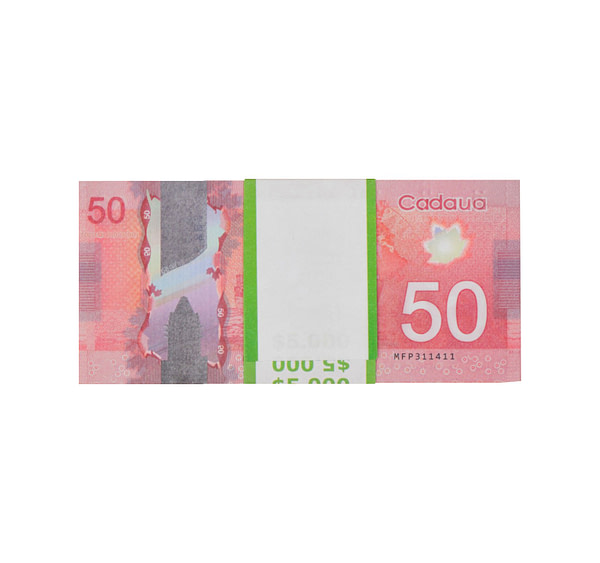 acheter nouvelle 50 dollars canadiens pile de 100 faux billets arrière