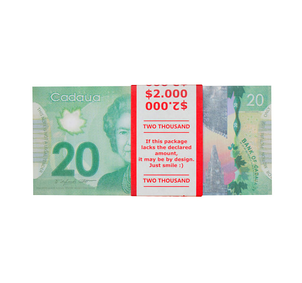 acheter nouvelle 20 dollars canadiens pile de 100 faux billets face avant