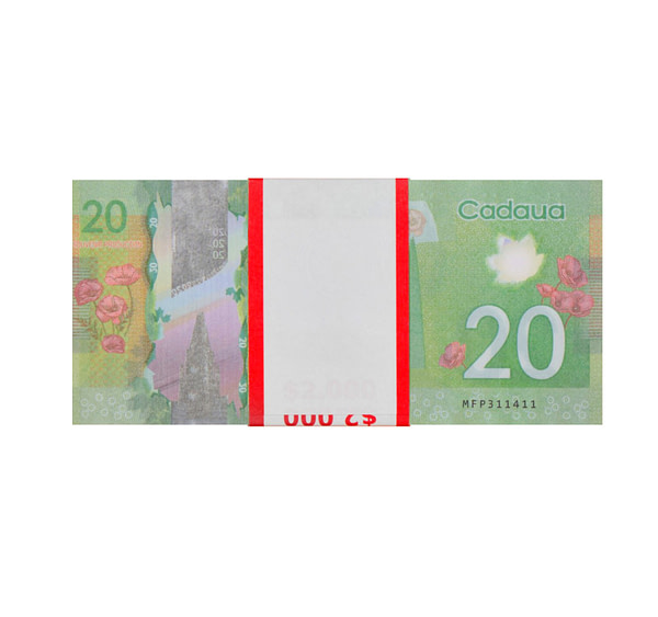 acheter nouvelle 20 dollars canadiens pile de 100 faux billets arrière