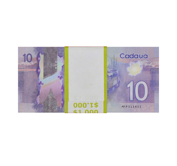 acheter 10 dollars canadiens pile de 100 faux billets arrière