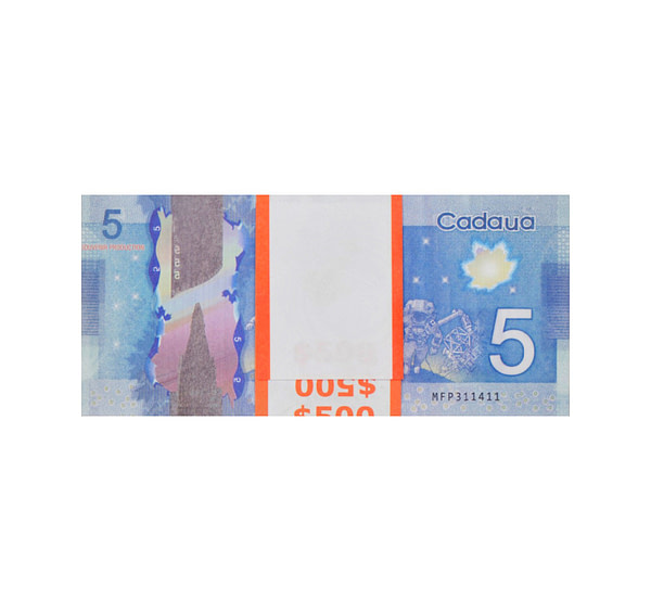 acheter 5 dollars canadiens pile de 100 faux billets arrière