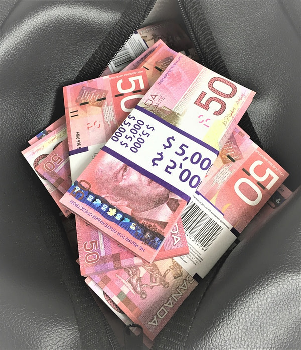 Sac d'argent 50 dollars canadiens (100 paquets)