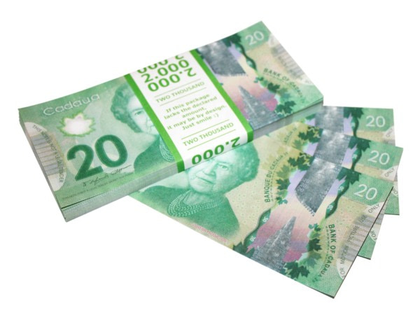 NOUVELLE 20 dollars canadiens pile de 100 faux billets